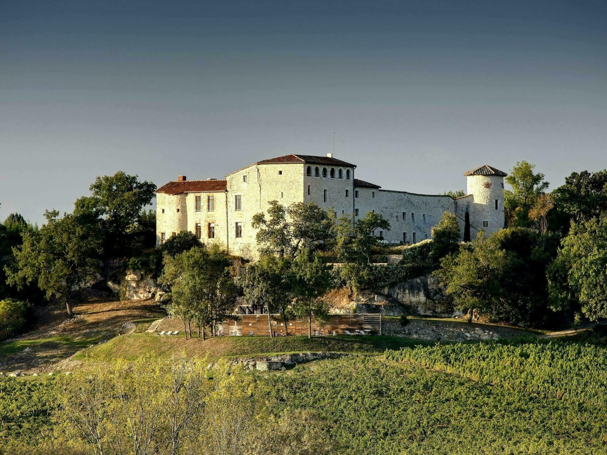 Chateau De Salettes Cahuzac-sur-Vère Εξωτερικό φωτογραφία