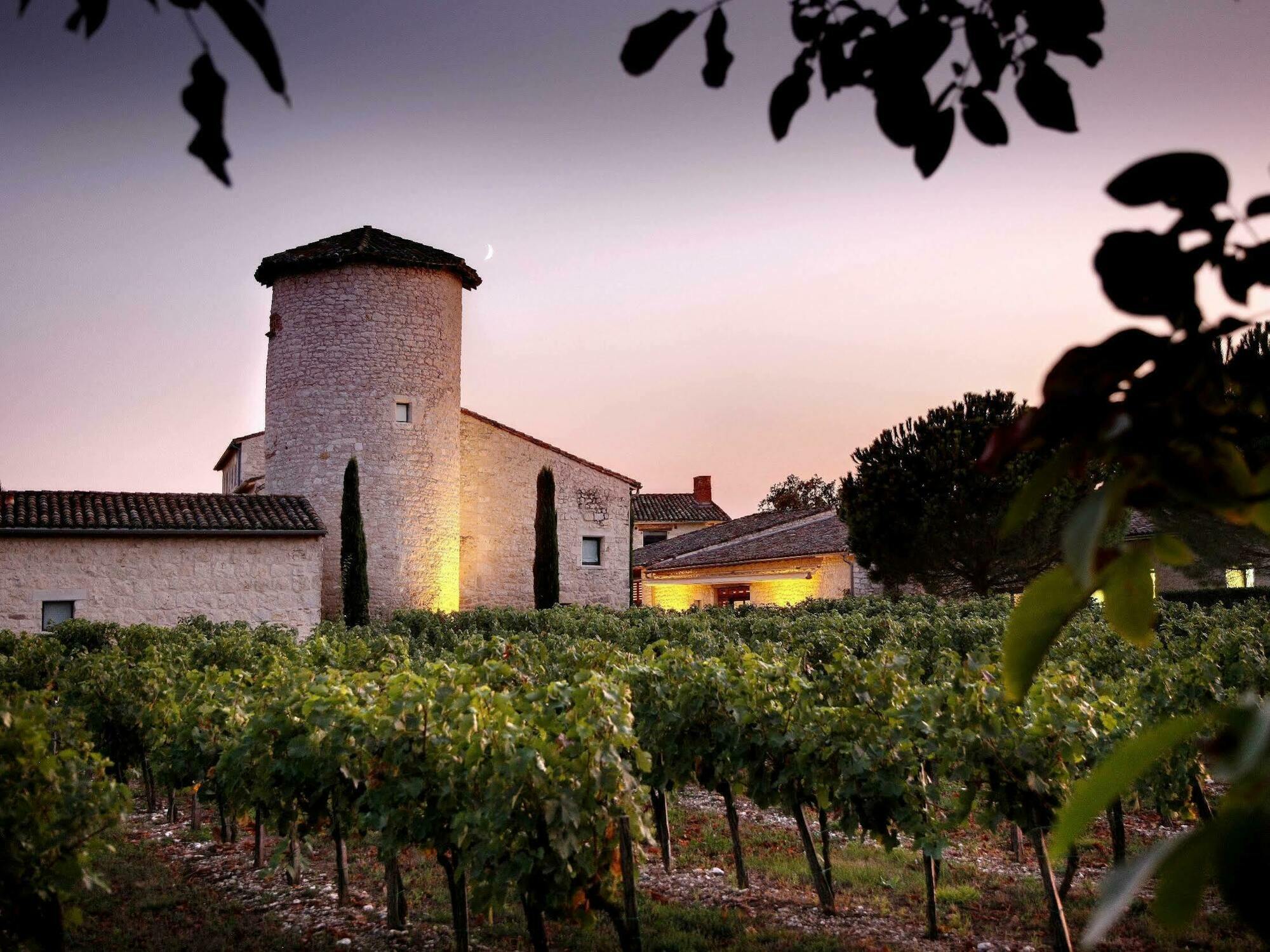 Chateau De Salettes Cahuzac-sur-Vère Εξωτερικό φωτογραφία